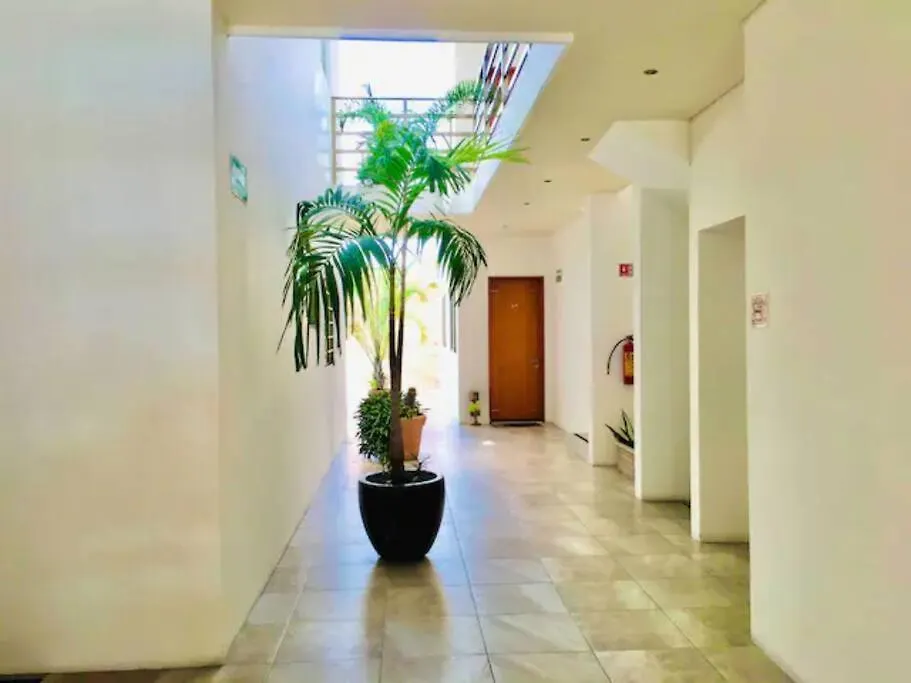 פלאייה דל כרמן Top Vip! Pent-House With Your Private Pool & Chairs 2 Bedrooms 0*, פלאייה דל כרמן מקסיקו